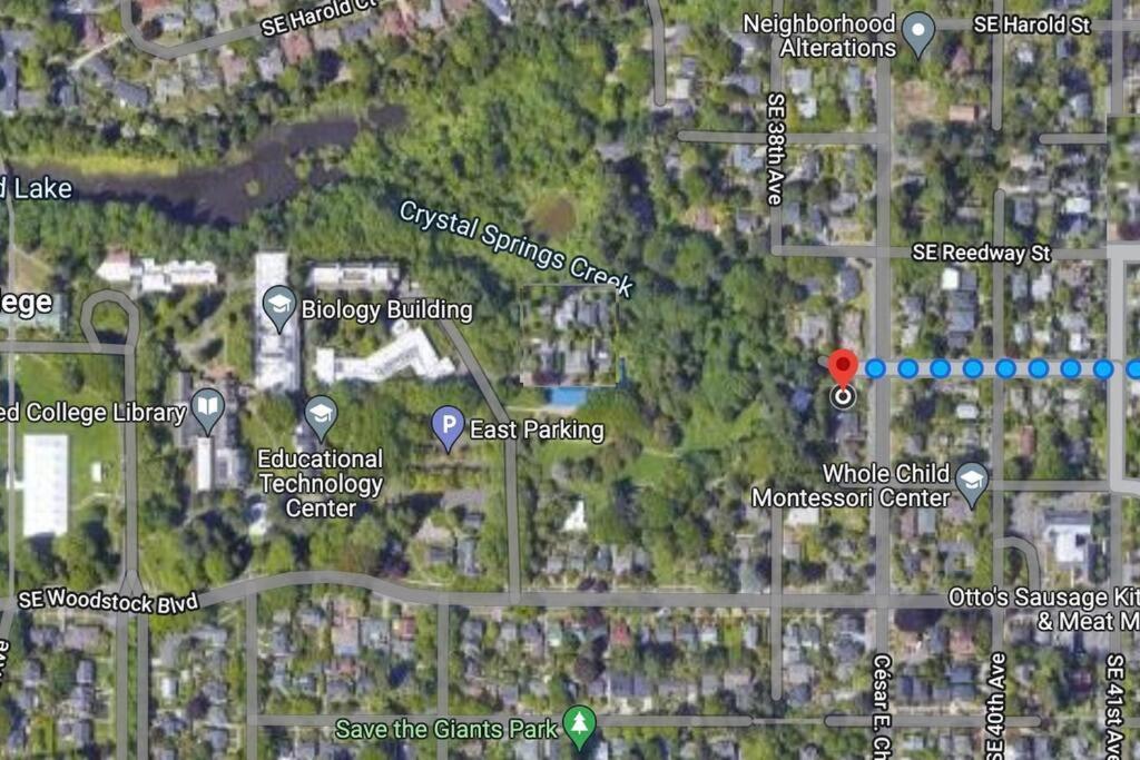 Heart Of Woodstock, 10 Min Walk To Reed, With Private Garage! Lägenhet Portland Exteriör bild